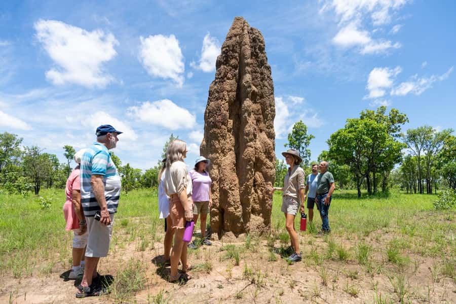 From Darwin: Litchfield National Park & Waterfalls Day Trip - Why Litchfield makes sense as a Darwin day trip