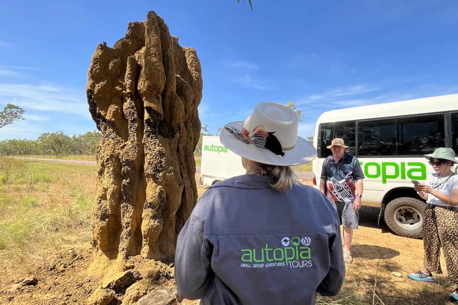 From Darwin: Litchfield National Park & Waterfalls Day Trip - Magnetic Termite Mounds and the small details of the bush