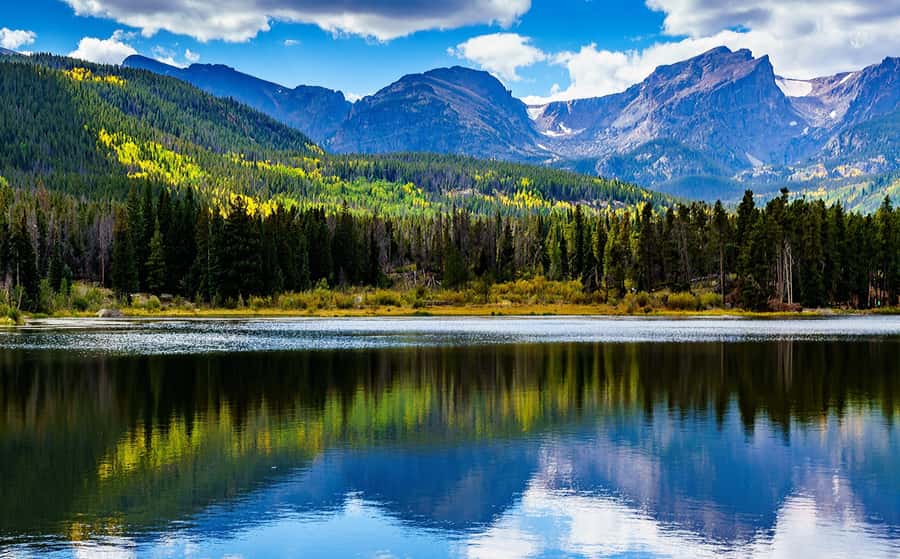 From Denver: Rocky Mountain National Park Day Trip and Lunch - What the van ride is really like