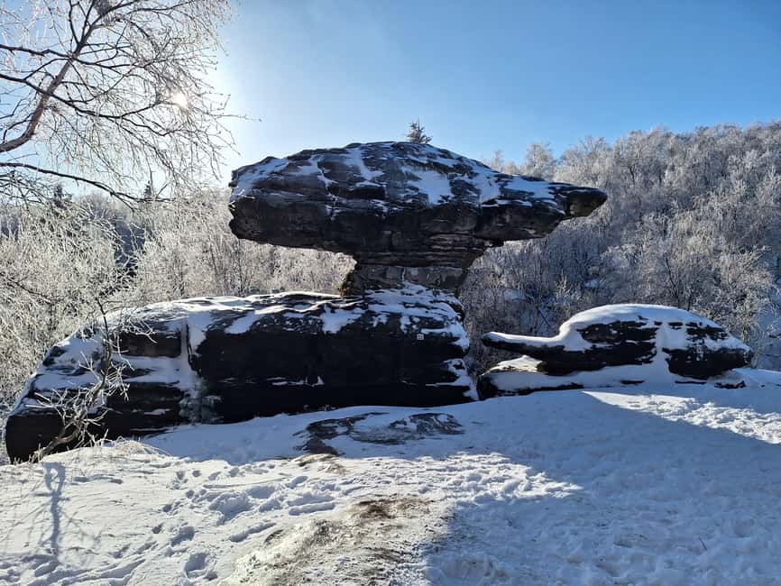 From Dresden: Bastei Bridge & Bohemian Switzerland Day Trip - Kamenice Gorge and the boat section