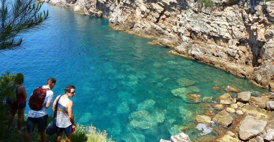 From Dubrovnik: Hiking & Swimming on Koločep Island Day Trip - The three-hour walk through Mediterranean plants