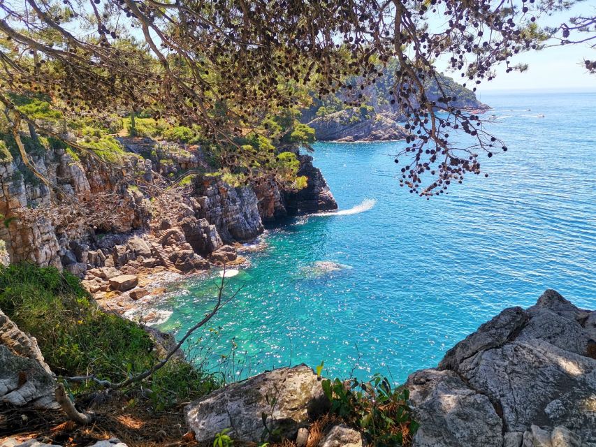 From Dubrovnik: Hiking & Swimming on Koločep Island Day Trip - The value of $104 per person