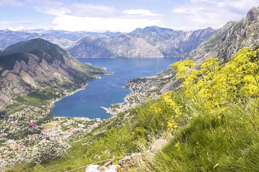 From Dubrovnik: Montenegro Day Trip - Guides, vehicles, and group comfort