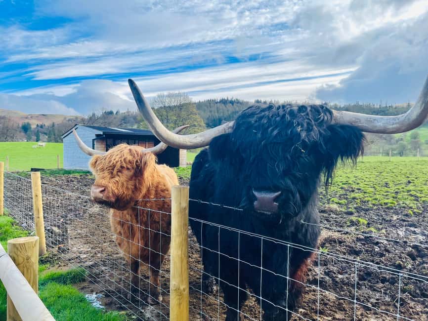 From Edinburgh: Loch Ness, Glencoe & The Highlands Day Trip - Charlotte Square and the early start