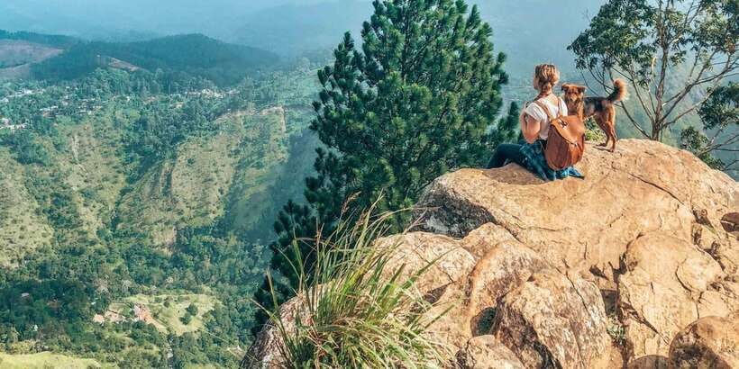 From Ella- All inclusive Day Trip of 8 Iconic Sights & Train - Kithalella View Point brings a quieter pause