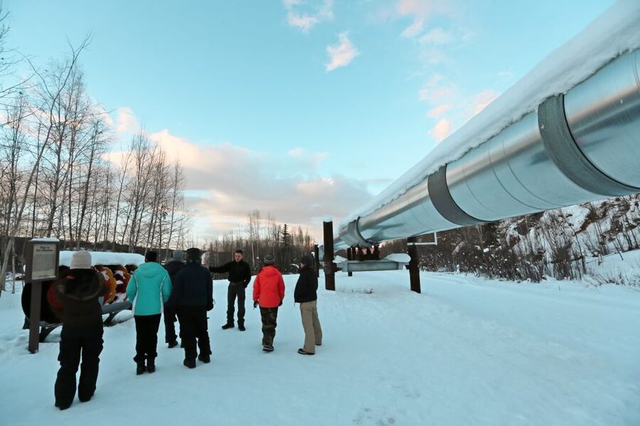 From Fairbanks: Arctic Circle Northern Lights Full-Day Trip - Key points to know before you book
