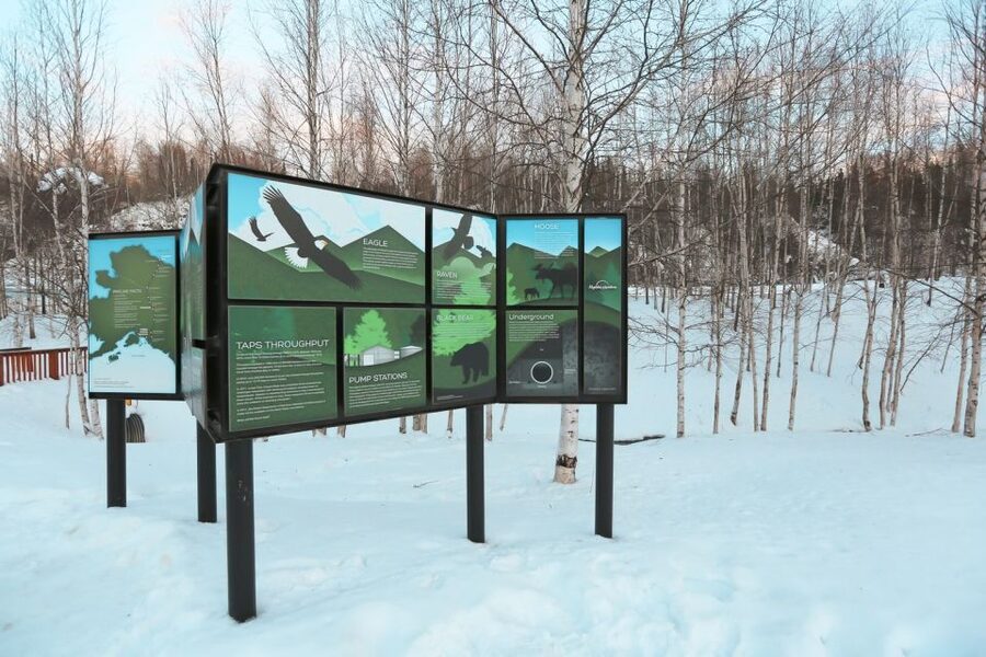 From Fairbanks: Arctic Circle Northern Lights Full-Day Trip - The Trans-Alaska Pipeline, explained on the ground