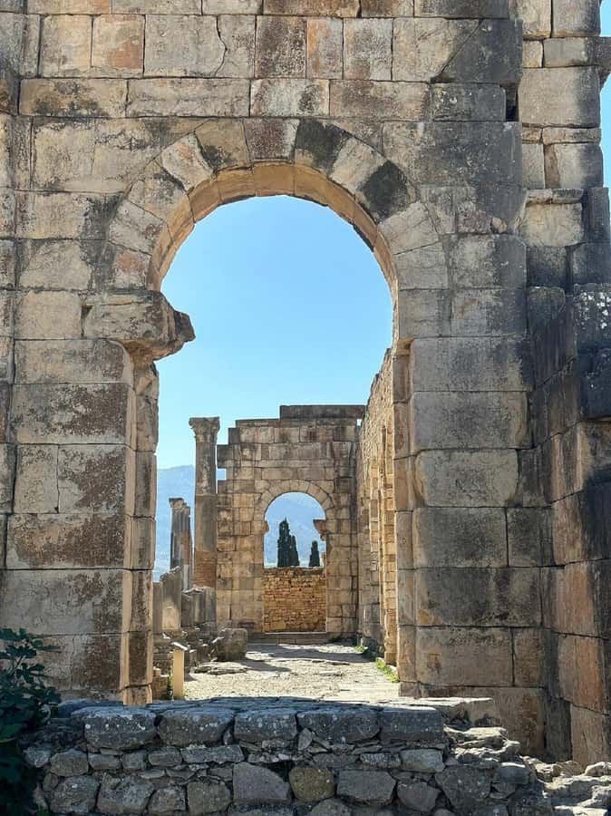 From Fes Day Trip to Meknes,Volubilis,Moulay Idriss Zerhoun - Key points at a glance