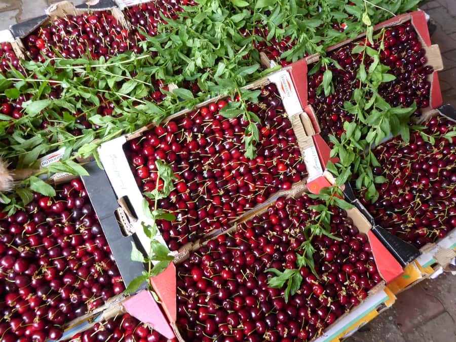 From Fes: Day trip to Sefrou & Bhalil - Why Sefrou makes a smart break from Fes