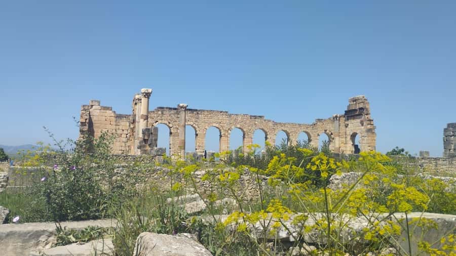 From Fes: Meknes Volubilis and Moulay Idriss Day Trip - Transport, guides, and group size