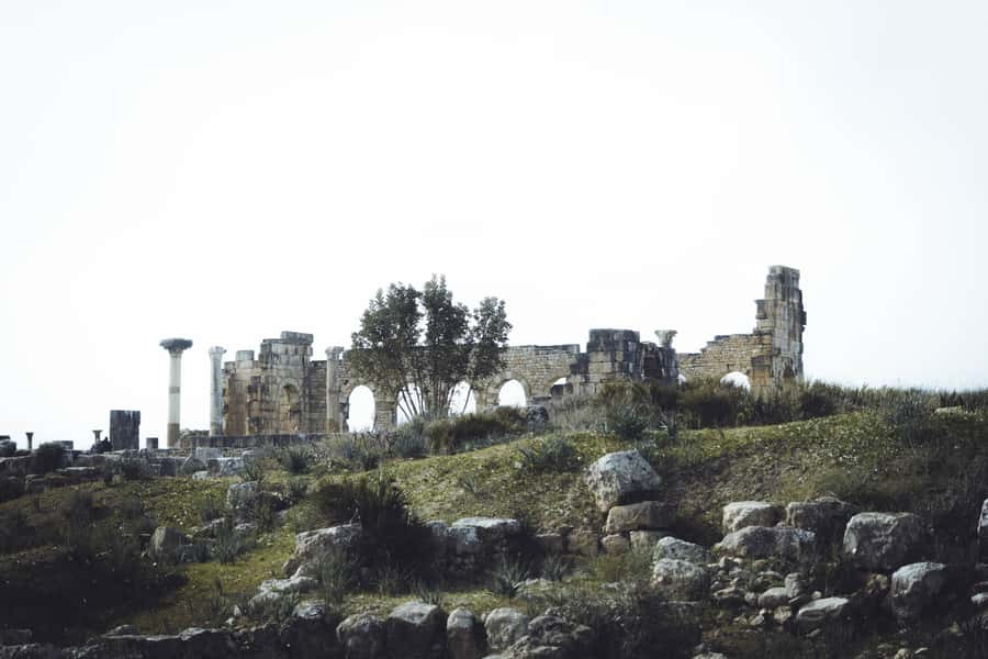 From Fes: Volubilis, Moulay Idriss and Meknes Full-Day Trip - Key points to know before booking