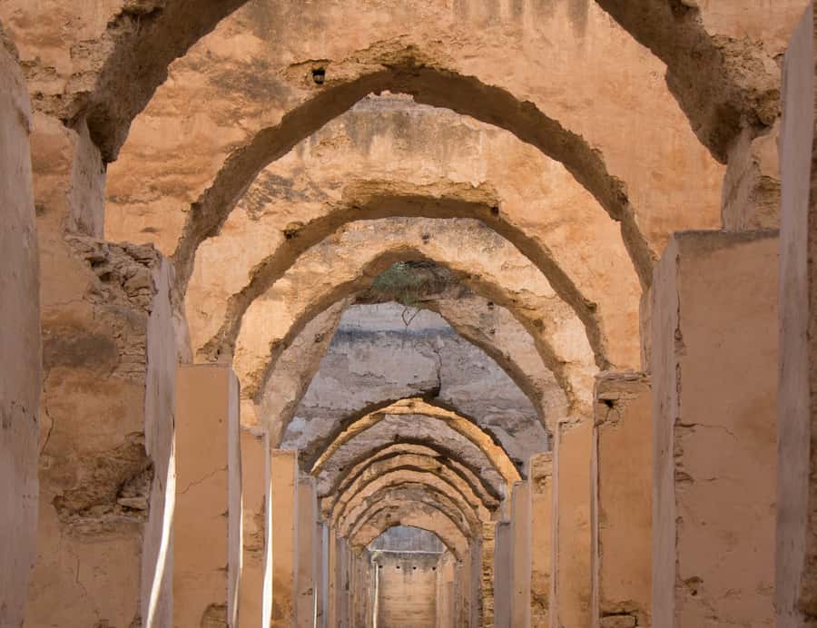 From Fes: Volubilis, Moulay Idriss and Meknes Full-Day Trip - Volubilis: the strongest reason to go