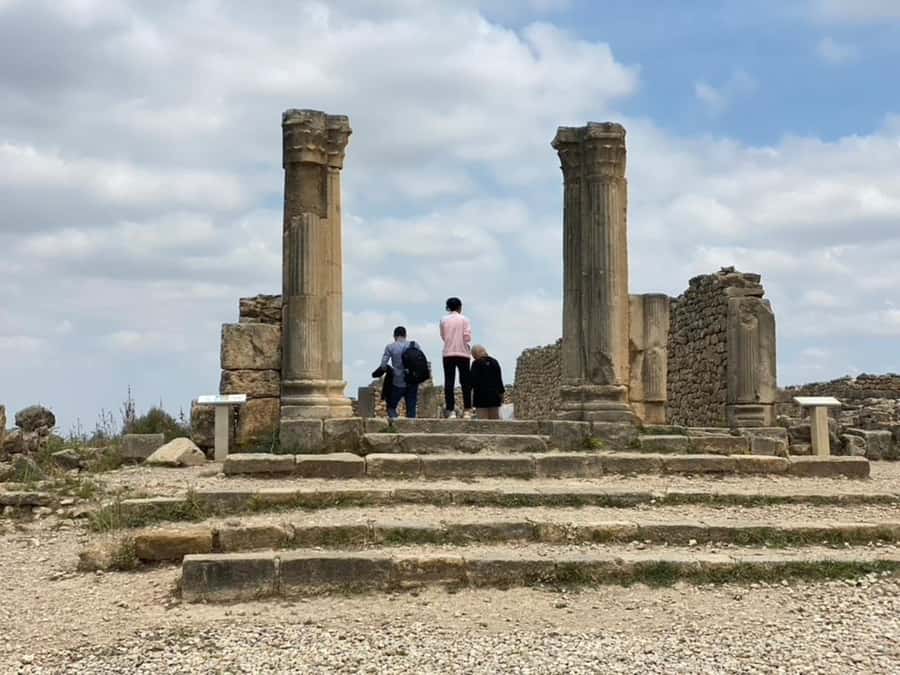 From Fes: Volubilis, Moulay Idriss, & Meknes Full-Day Trip - Why this Fez day trip is worth your time