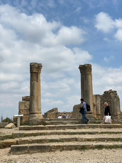From Fes: Volubilis, Moulay Idriss, & Meknes Full-Day Trip - Moulay Idriss adds a more local rhythm