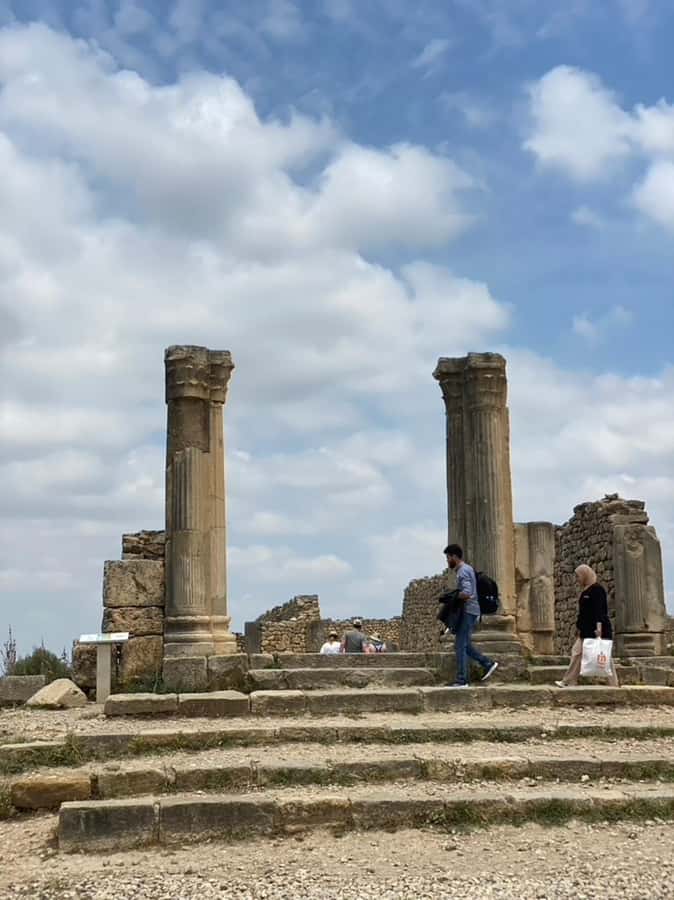 From Fes: Volubilis, Moulay Idriss, & Meknes Full-Day Trip - Who should book this day out?