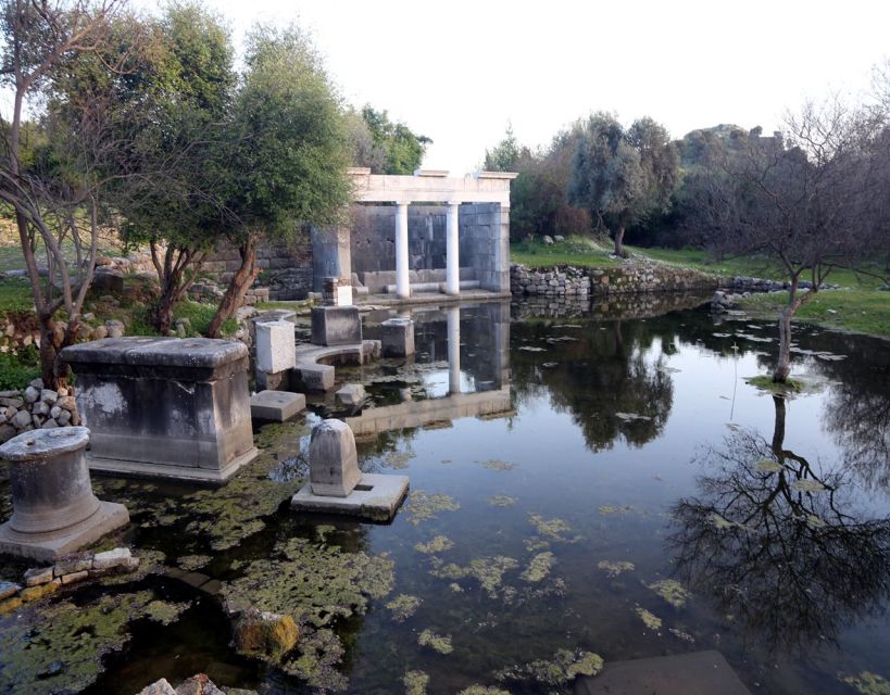 From Fethiye: Dalyan Day Trip with Mud Bath and Turtle Beach - Turtle Beach, where river meets Mediterranean