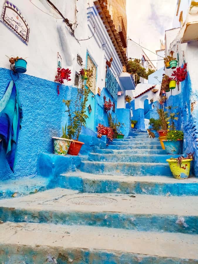 From Fez : Memorable Day Trip to Chefchaouen the Blue City - The three-and-a-half-hour road to the Rif Mountains