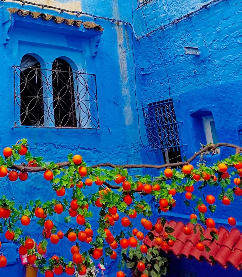 From Fez : Memorable Day Trip to Chefchaouen the Blue City - The panoramic view above Chefchaouen