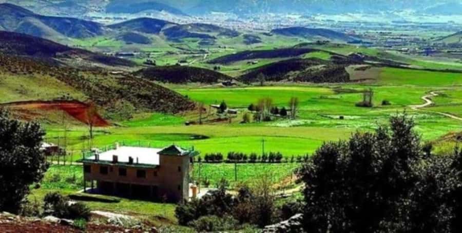 From Fez: Middle Atlas Ifran and Forest of Monkeys Day Trip - Key points before you book