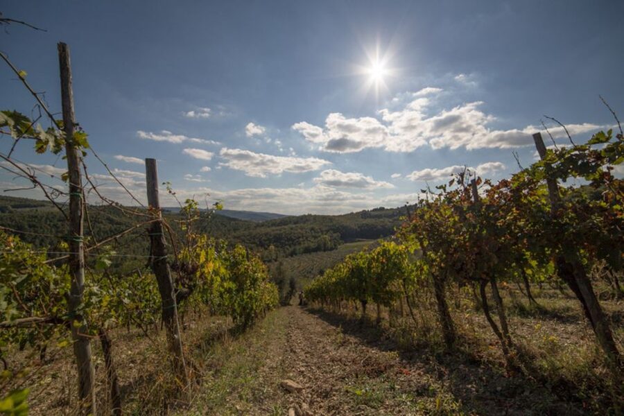 From Florence: Chianti Wine Tastings at Sunset Day Trip - Key things to know before you book