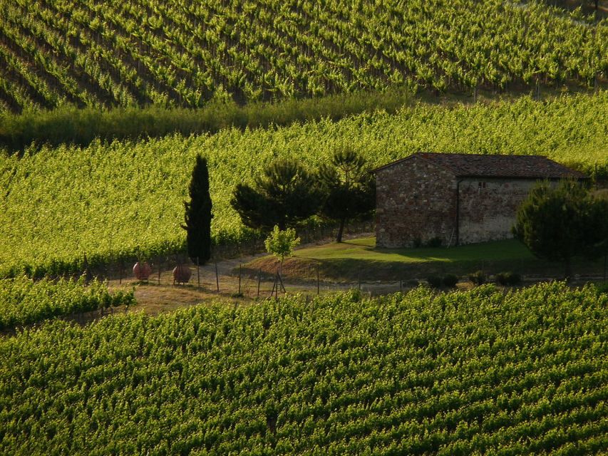 From Florence: Chianti Wine Tastings at Sunset Day Trip - Greve in Chianti, the first taste of the region