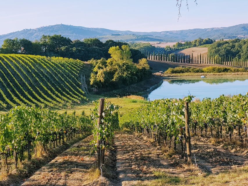 From Florence: Chianti Wine Tastings at Sunset Day Trip - The minivan ride into the Tuscan hills
