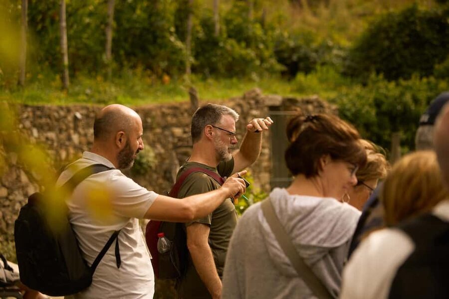 From Florence: Cinque Terre Day Trip with stop in Pisa - What the Florence departure is really like
