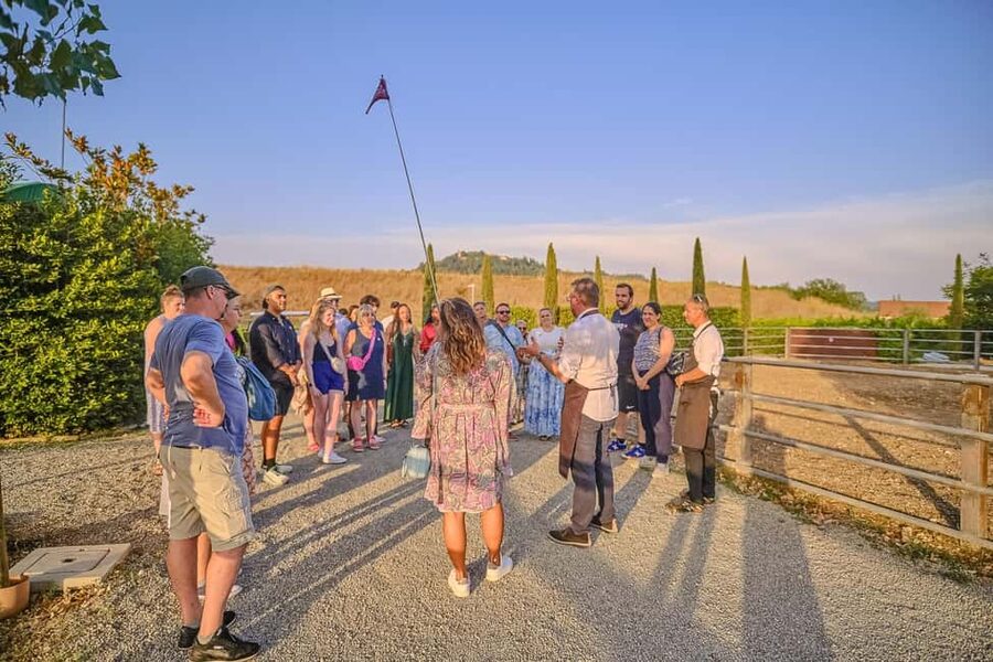 From Florence: Siena and Chianti Day Trip with Dinner - Dinner at a Chianti wine estate
