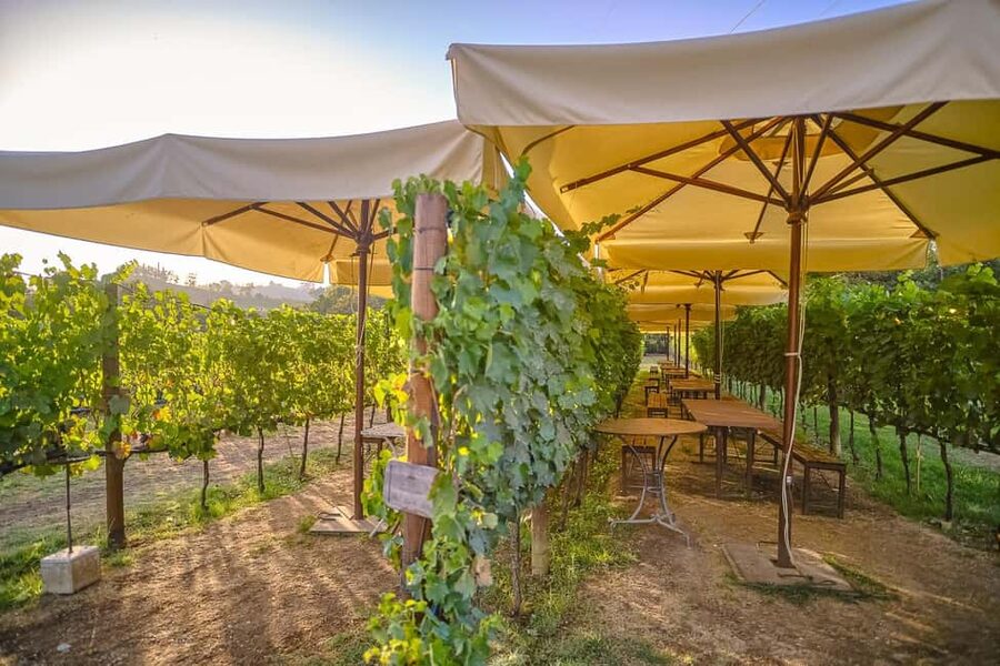 From Florence: Siena and Chianti Day Trip with Dinner - What the $80.55 price really covers