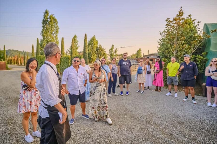From Florence: Siena and Chianti Day Trip with Dinner - Practical preparation for the day