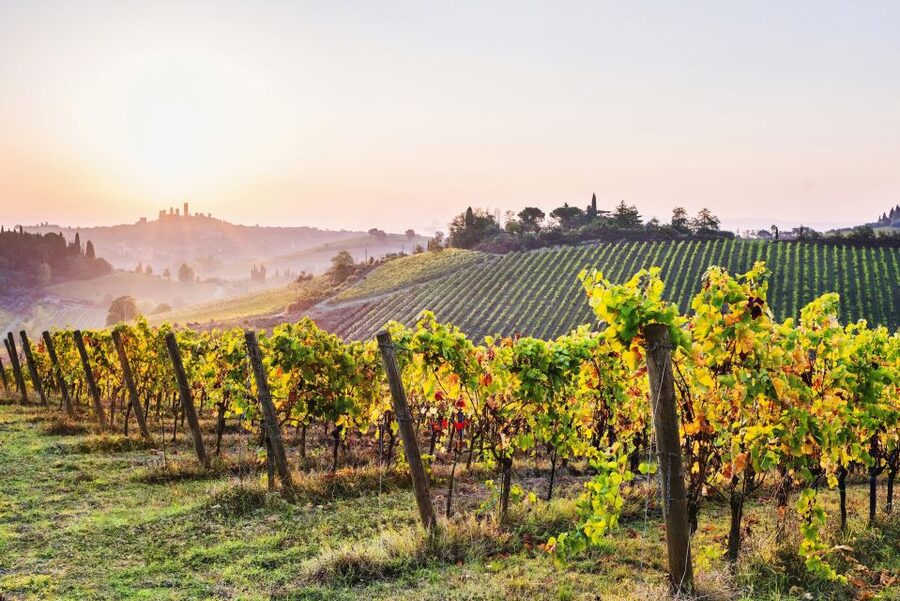 From Florence: Tuscany Day Trip to Siena & San Gimignano - Starting at Piazzale Montelungo