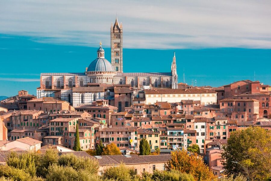 From Florence: Tuscany Day Trip to Siena & San Gimignano - The road through Chianti