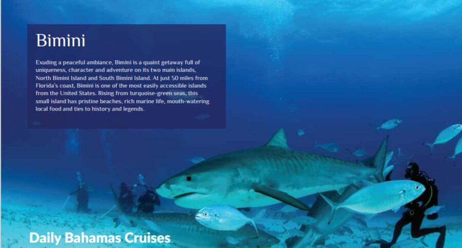 From Fort Lauderdale: Bimini Island Day Trip by Ferry - Wheelchair access and physical demands