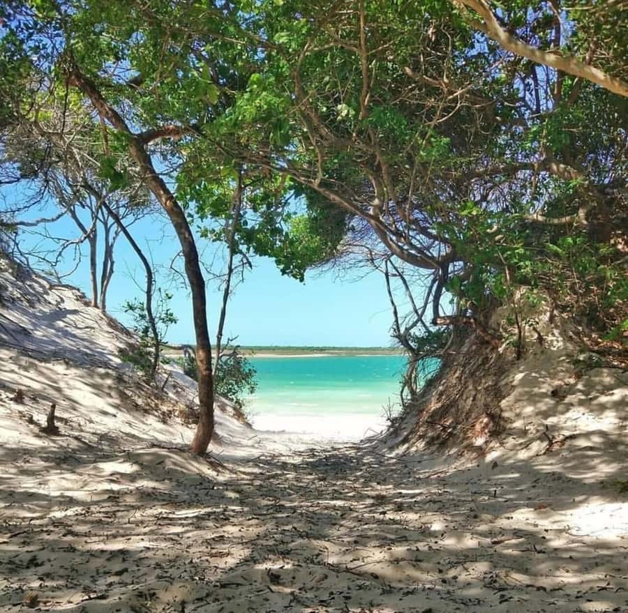 From Fortaleza: Day Trip to Jericoacoara - Lagoa do Paraíso: the best place to slow down