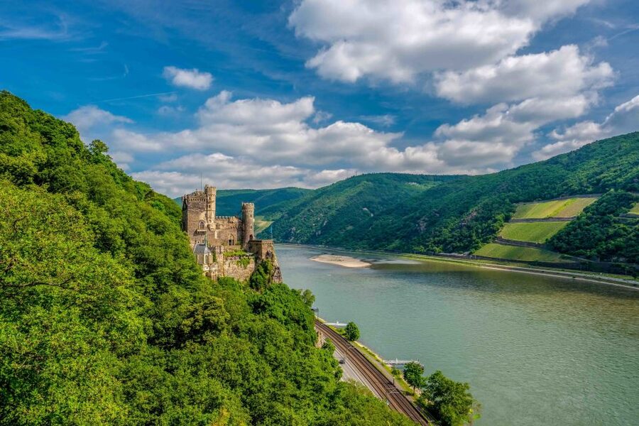 From Frankfurt: Rhine Valley Day Trip - Assmannshausen lunch in a memorable riverside setting
