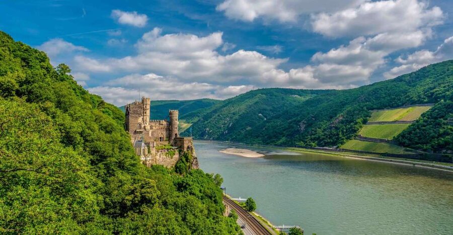 From Frankfurt: Rhine Valley Day Trip - The Rhine cruise past castles and vineyards