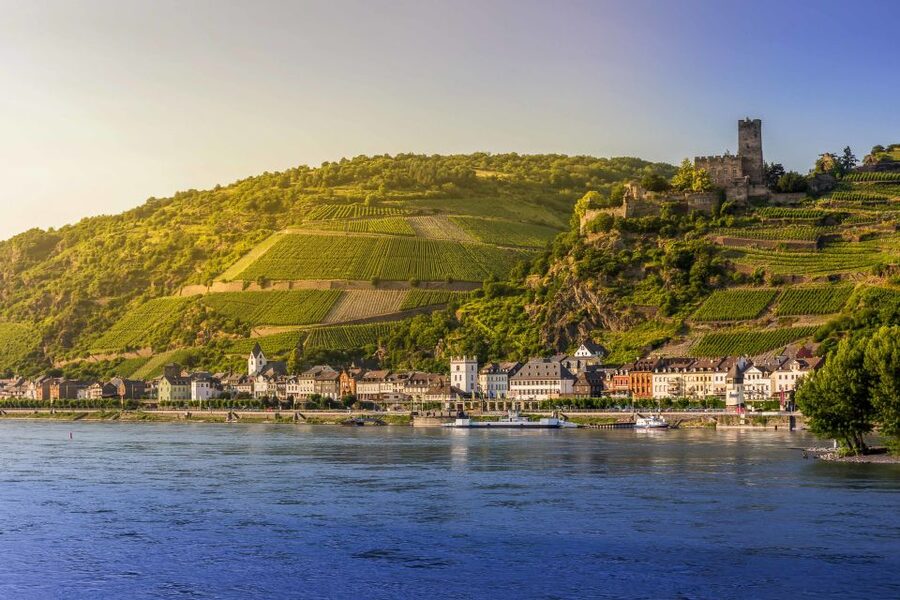 From Frankfurt: Rhine Valley Day Trip - Who will enjoy this day most?