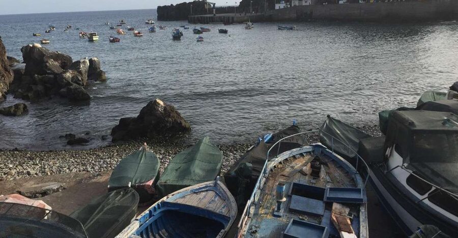 From Funchal: West Madeira and Laurel Forest Day Trip - Câmara de Lobos and the island’s working coast