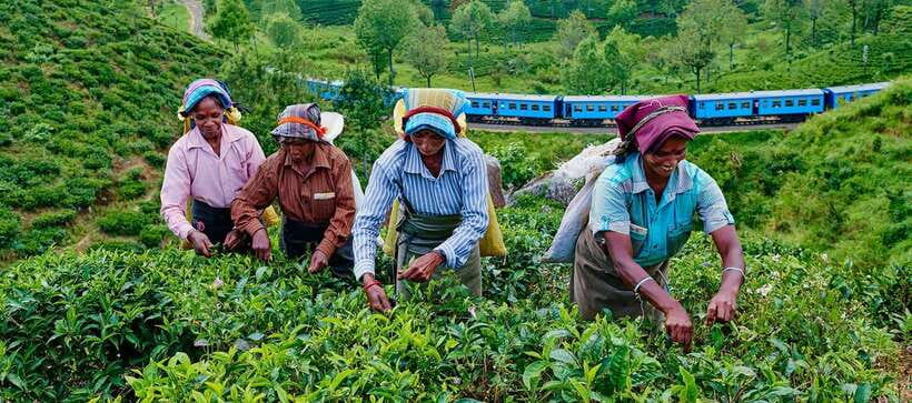 From Galle/Hikkaduwa/Mirissa: Day Trip to Experience Ella - Why this 14-hour Ella trip works