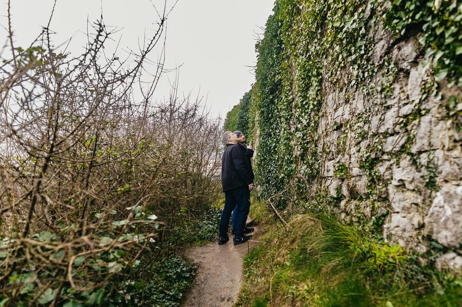 From Galway: Cliffs of Moher and The Burren Guided Day Trip - Who Will Enjoy This Day Trip Most?