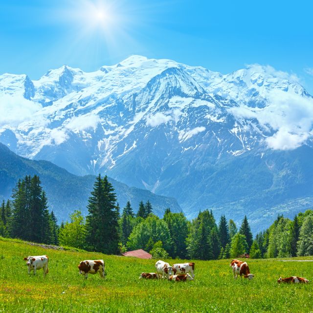 From Geneva: Chamonix Mont-Blanc Private Day Trip - What the private vehicle adds