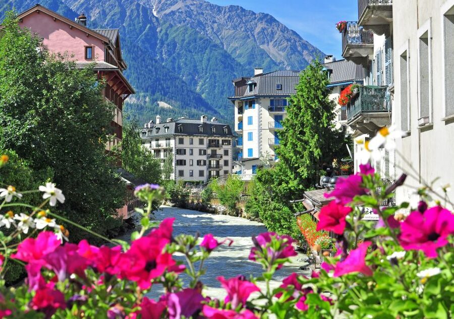 From Geneva: Chamonix Mont-Blanc Private Day Trip - Who should book this Chamonix experience?