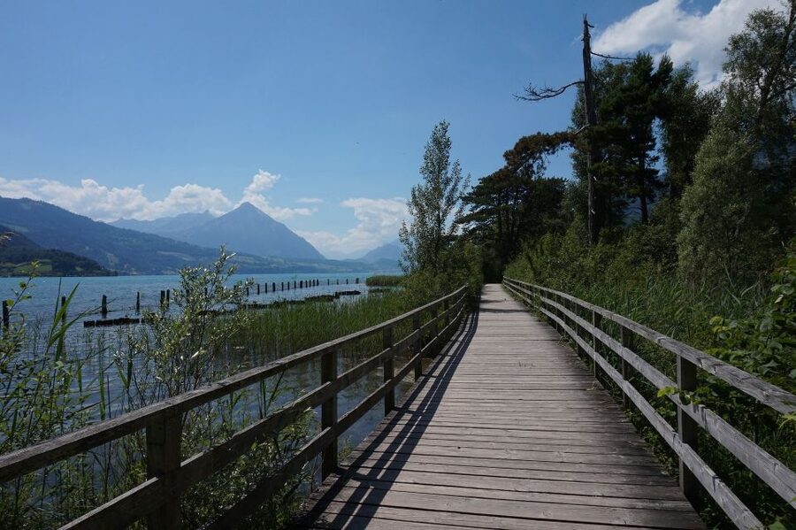 From Geneva: Full-Day Trip to Interlaken - Why Interlaken works as a day trip from Geneva