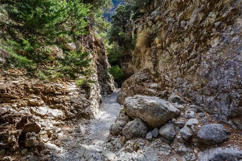 From Georgioupoli: Easy Hiking Day-Trip to Imbros Gorge - Why this Crete day trip works