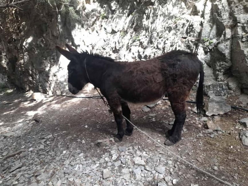 From Georgioupoli: Easy Hiking Day-Trip to Imbros Gorge - Is $34 a good price?