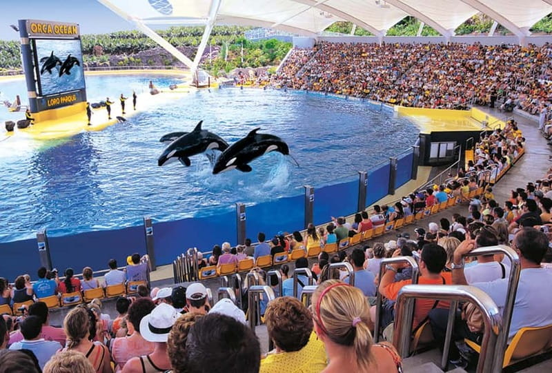 From Gran Canaria: Day Trip to Loro Parque Tenerife - Who will get the most from this excursion