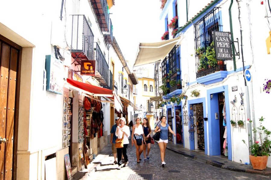 From Granada: Córdoba Day Trip with Mezquita Guided Tour - What $194 includes and what it does not