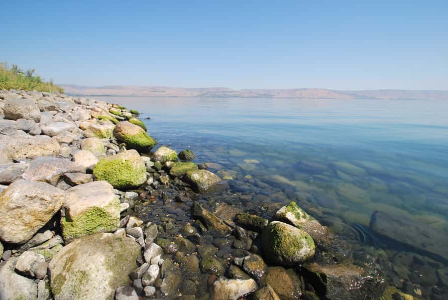 From Haifa: Guided Day Trip to Nazareth and Sea of Galilee - Key points at a glance