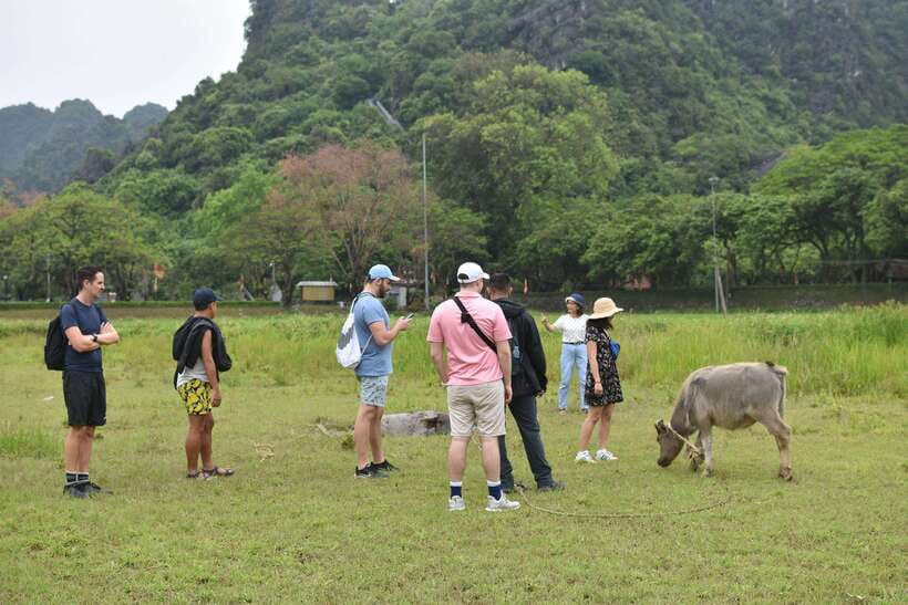 From Hanoi: Ninh Binh, Hoa Lu, Tam Coc, & Mua Cave Day-Trip - A Vietnamese buffet lunch with plenty of choice