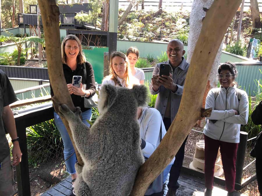 From Haymarket: Hunter Valley Wine and Wildlife Day Trip - What the $88 price really means